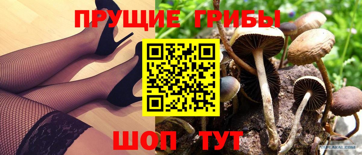 Псилоцибиновые грибы прущие грибы  Вход с VPN  Домодедово 